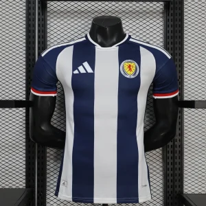 2026 World Cup Wales Special Edition Football Shirt Player Edition AAAA Jersey Drop ship Yupoo