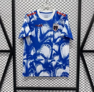 2026 Cape Verde Special Edition Football T-Shirt AAAAJersey Supply Yupoo 2