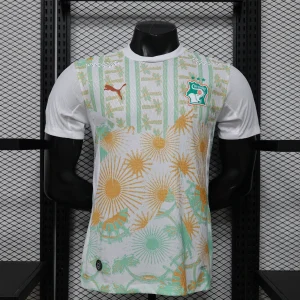 World Cup 2026 Cote d'Ivoire Away Kit Player Version Football T-Shirt AAAAJersey Supply Yupoo 10