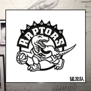 Toronto Raptors