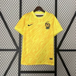 2024 France Goalkeeper Yellow Kit UEFA Euro Football Replicas Yupoo