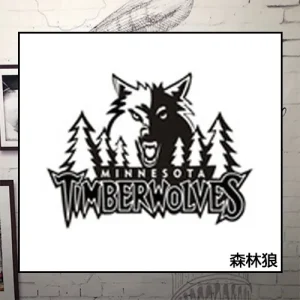 Minnesota Timberwolves