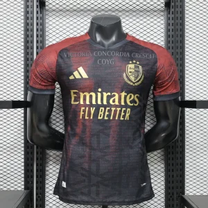 26-27 Arsenal Mens Special Edition Kit Player Version Soccer T-Shirt AAAAJersey Supply Yupoo 6