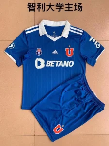University of Chile home