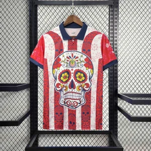 23-24 Chivas Special Edition S-XXL best soccer jersey