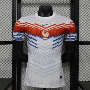 2026 France Mens Special Edition Player Version Football T-Shirt AAAAJersey Supply Yupoo