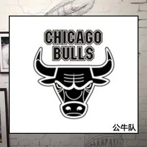 Chicago Bulls