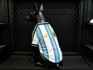 2026 World Cup Argentina Home Kit Pet Jersey Yupoo 3