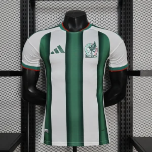 2026 World Cup Mexico Purple Special Edition Kit Player Version T-Shirt AAAAJersey Supply Yupoo